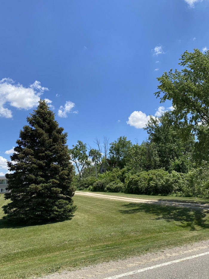 Juhl - June 2017 Photo (newer photo)